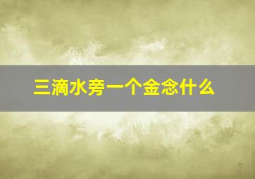 三滴水旁一个金念什么