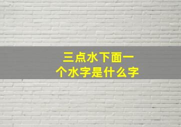 三点水下面一个水字是什么字