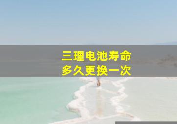 三理电池寿命多久更换一次