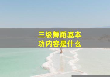 三级舞蹈基本功内容是什么