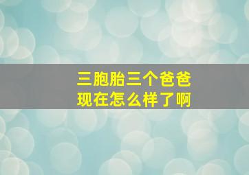 三胞胎三个爸爸现在怎么样了啊