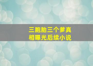 三胞胎三个爹真相曝光后续小说