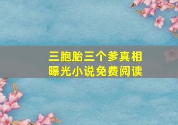 三胞胎三个爹真相曝光小说免费阅读