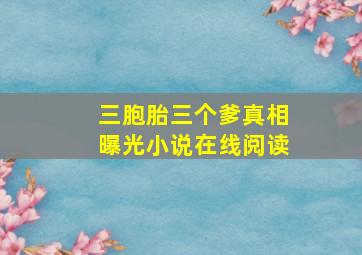 三胞胎三个爹真相曝光小说在线阅读