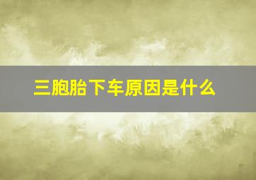 三胞胎下车原因是什么