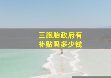 三胞胎政府有补贴吗多少钱