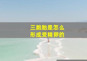 三胞胎是怎么形成受精卵的