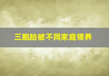 三胞胎被不同家庭领养