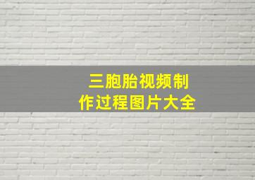 三胞胎视频制作过程图片大全