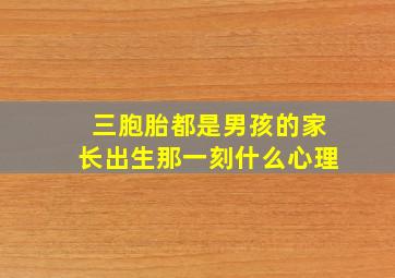 三胞胎都是男孩的家长出生那一刻什么心理