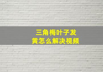 三角梅叶子发黄怎么解决视频