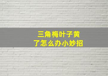 三角梅叶子黄了怎么办小妙招