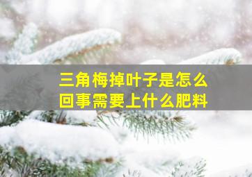 三角梅掉叶子是怎么回事需要上什么肥料