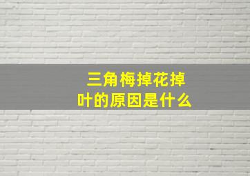 三角梅掉花掉叶的原因是什么