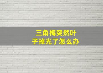 三角梅突然叶子掉光了怎么办