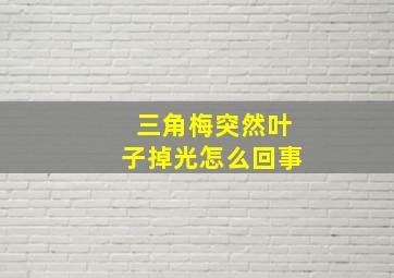 三角梅突然叶子掉光怎么回事