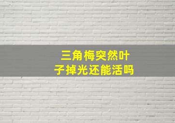 三角梅突然叶子掉光还能活吗