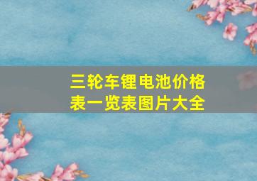 三轮车锂电池价格表一览表图片大全