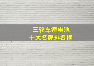 三轮车锂电池十大名牌排名榜