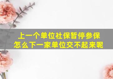 上一个单位社保暂停参保怎么下一家单位交不起来呢