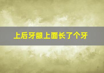 上后牙龈上面长了个牙