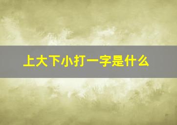 上大下小打一字是什么