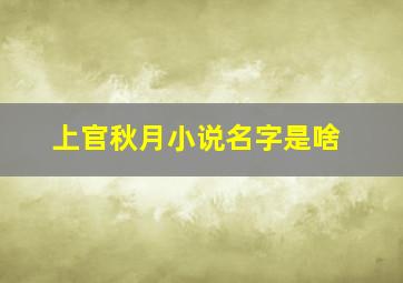 上官秋月小说名字是啥