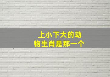 上小下大的动物生肖是那一个