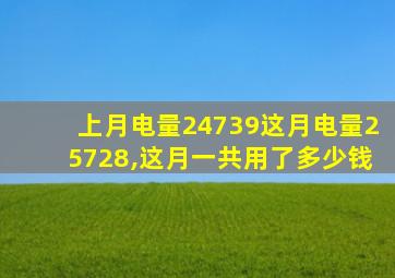 上月电量24739这月电量25728,这月一共用了多少钱