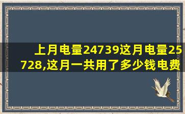 上月电量24739这月电量25728,这月一共用了多少钱电费