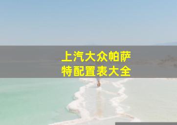 上汽大众帕萨特配置表大全