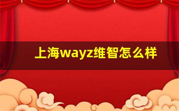 上海wayz维智怎么样