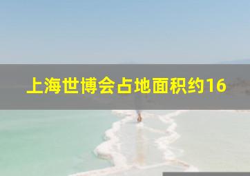 上海世博会占地面积约16