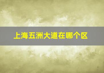 上海五洲大道在哪个区