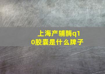 上海产辅酶q10胶囊是什么牌子