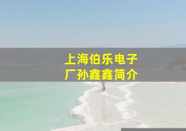 上海伯乐电子厂孙鑫鑫简介