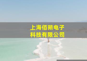 上海佰朔电子科技有限公司