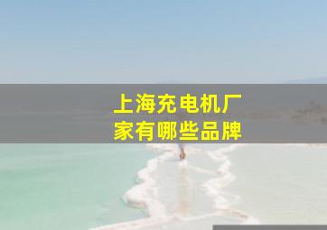 上海充电机厂家有哪些品牌