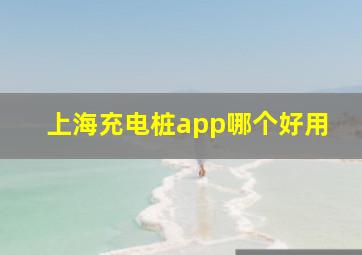 上海充电桩app哪个好用