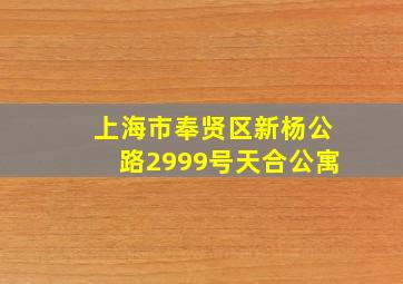 上海市奉贤区新杨公路2999号天合公寓