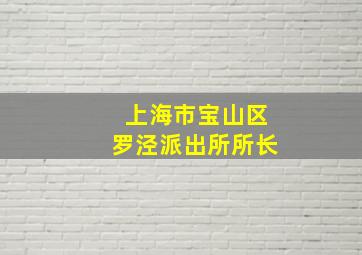 上海市宝山区罗泾派出所所长