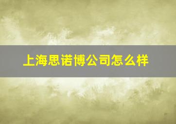 上海思诺博公司怎么样