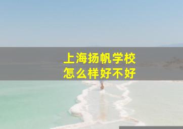 上海扬帆学校怎么样好不好