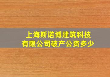 上海斯诺博建筑科技有限公司破产公资多少