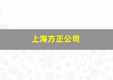 上海方正公司