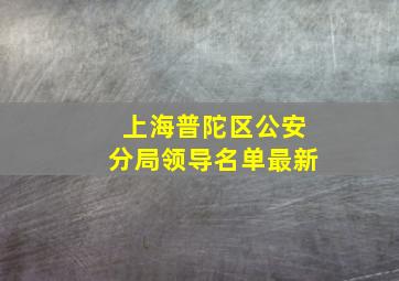 上海普陀区公安分局领导名单最新