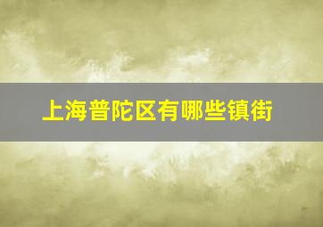 上海普陀区有哪些镇街