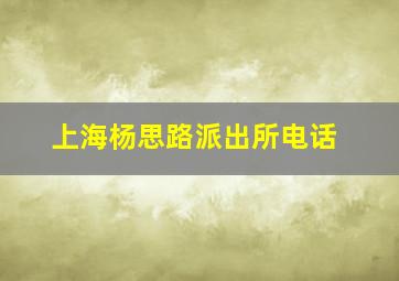 上海杨思路派出所电话