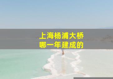 上海杨浦大桥哪一年建成的