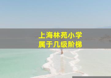 上海林苑小学属于几级阶梯